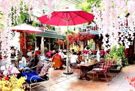HÀNG VIP! 610 m2 MẶT TIỀN NGUYỄN ẢNH THỦ, ĐANG KINH DOANH CF NỔI TIẾNG NHẤT KHU VỰC 350TR/THÁNG. GIẢM THIỆN CHÍ 4 TỶ, GIÁ MỚI 54 TỶ